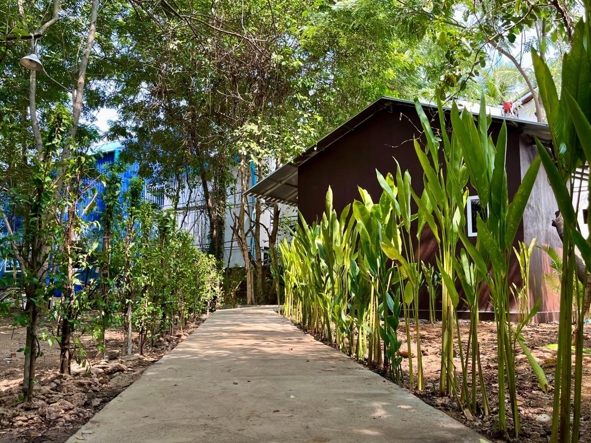 Banyan Tree Hostel Kampot Eksteriør bilde