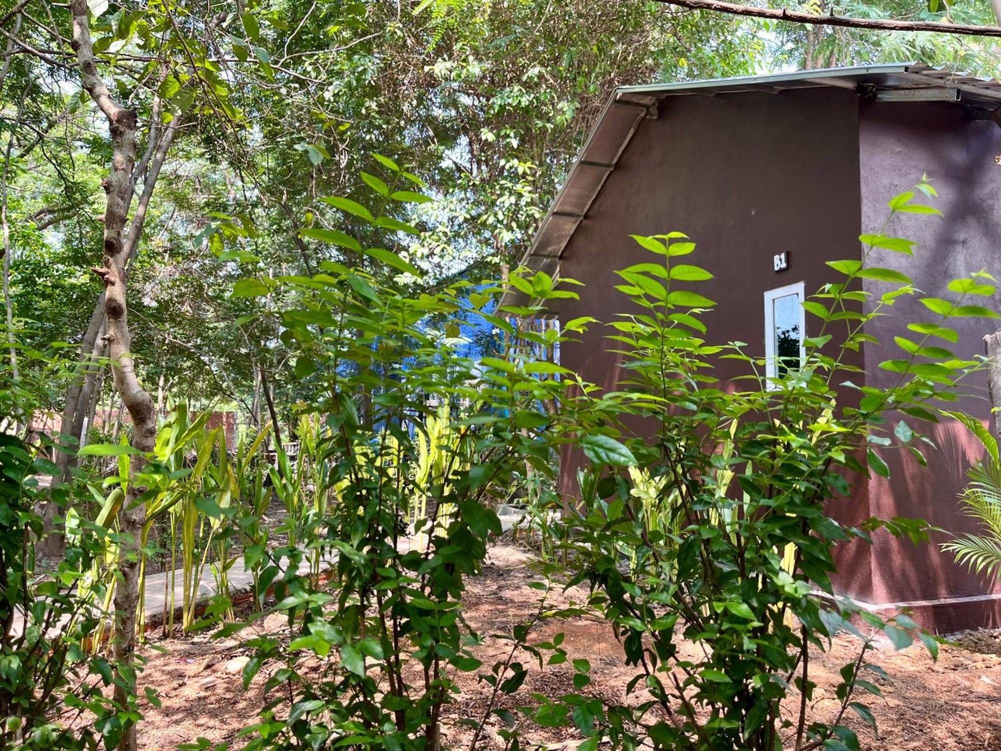 Banyan Tree Hostel Kampot Eksteriør bilde