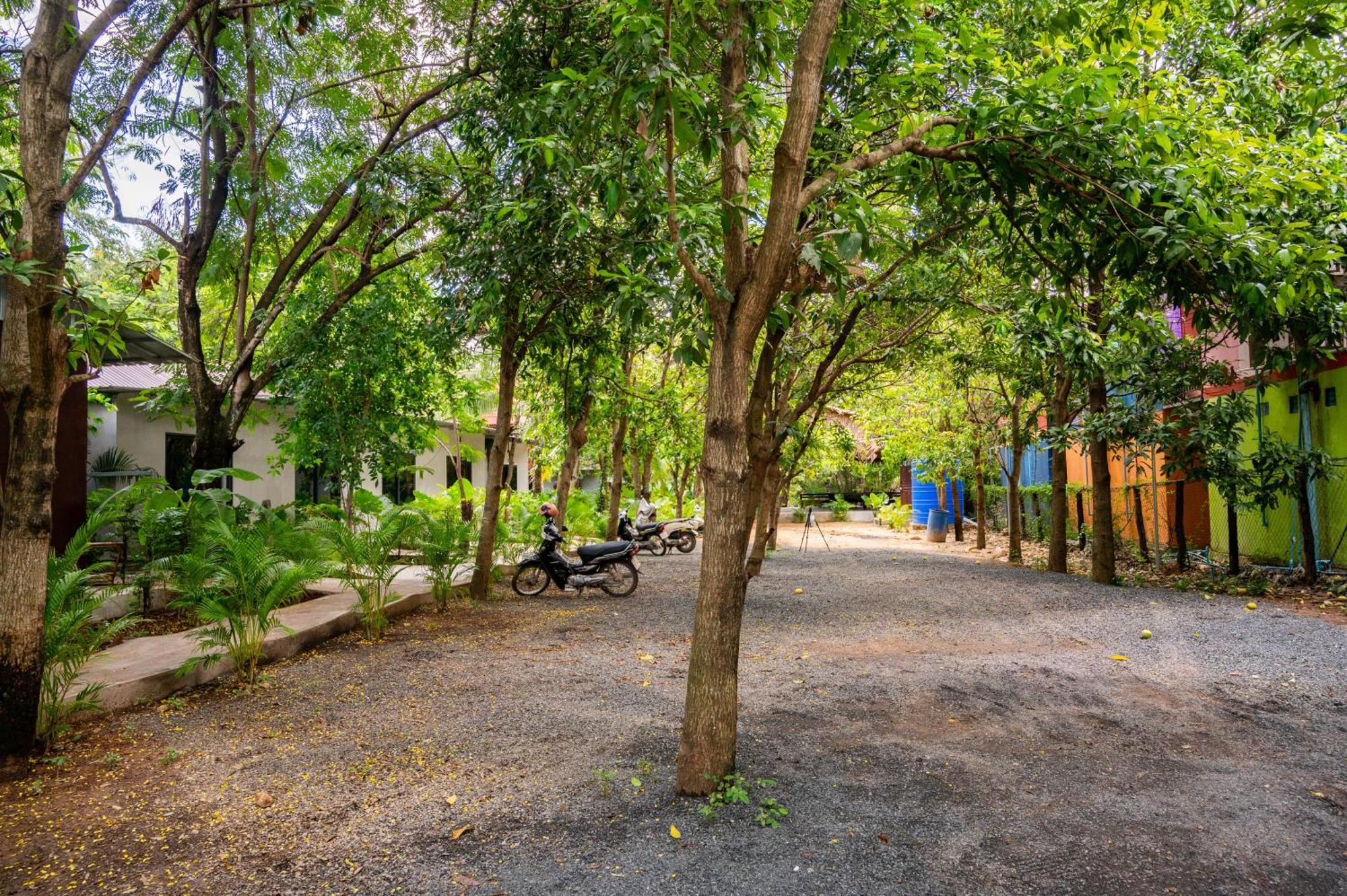 Banyan Tree Hostel Kampot Eksteriør bilde