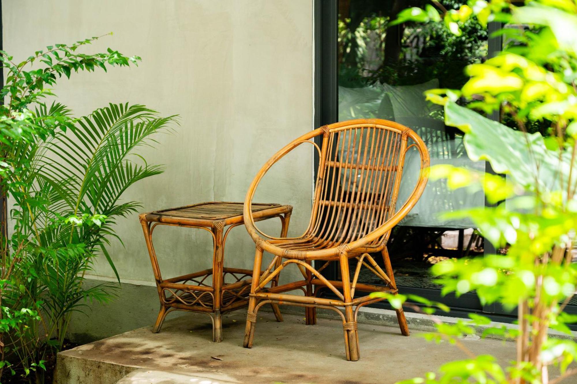 Banyan Tree Hostel Kampot Eksteriør bilde